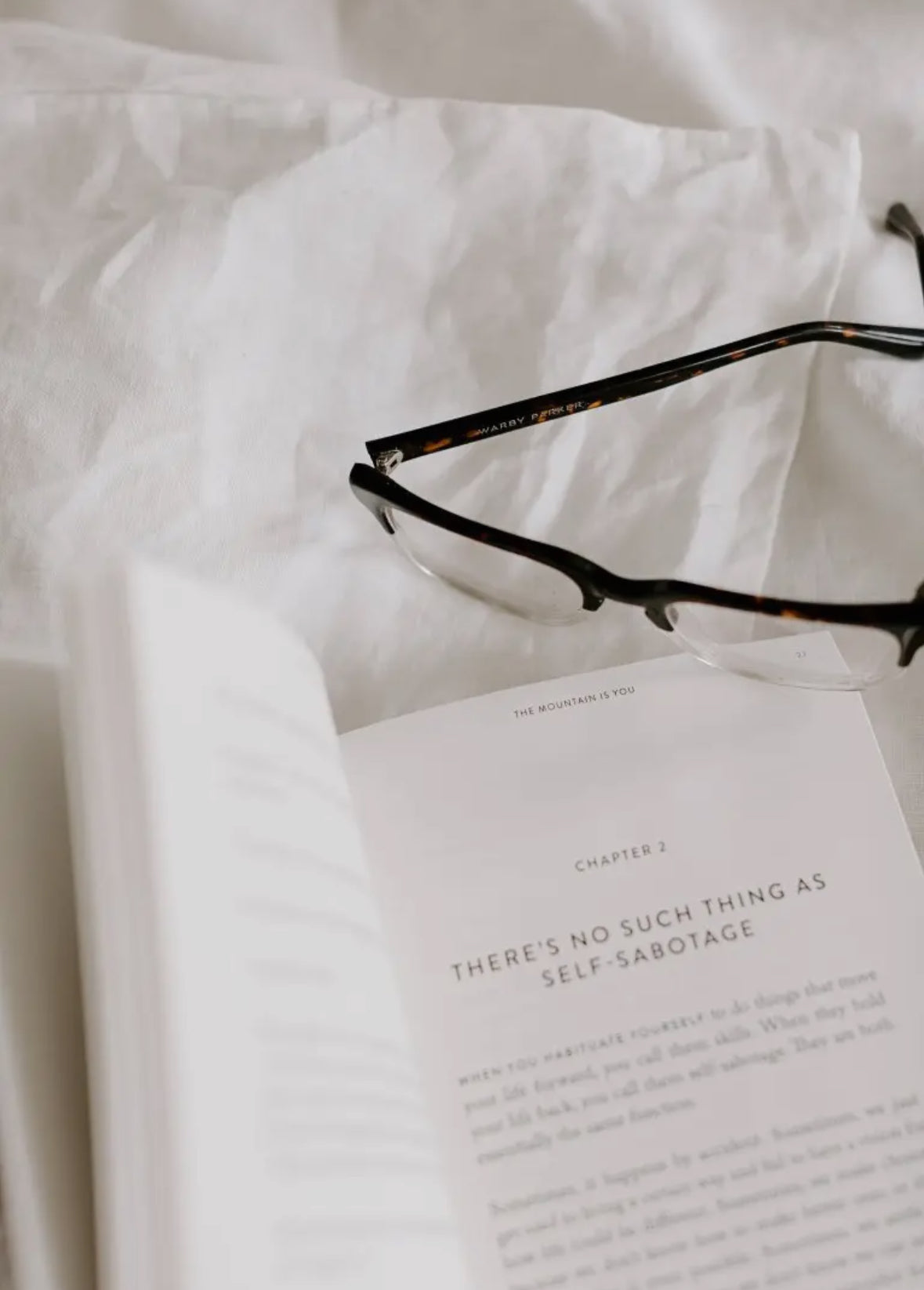 The Mountain Is You - Book