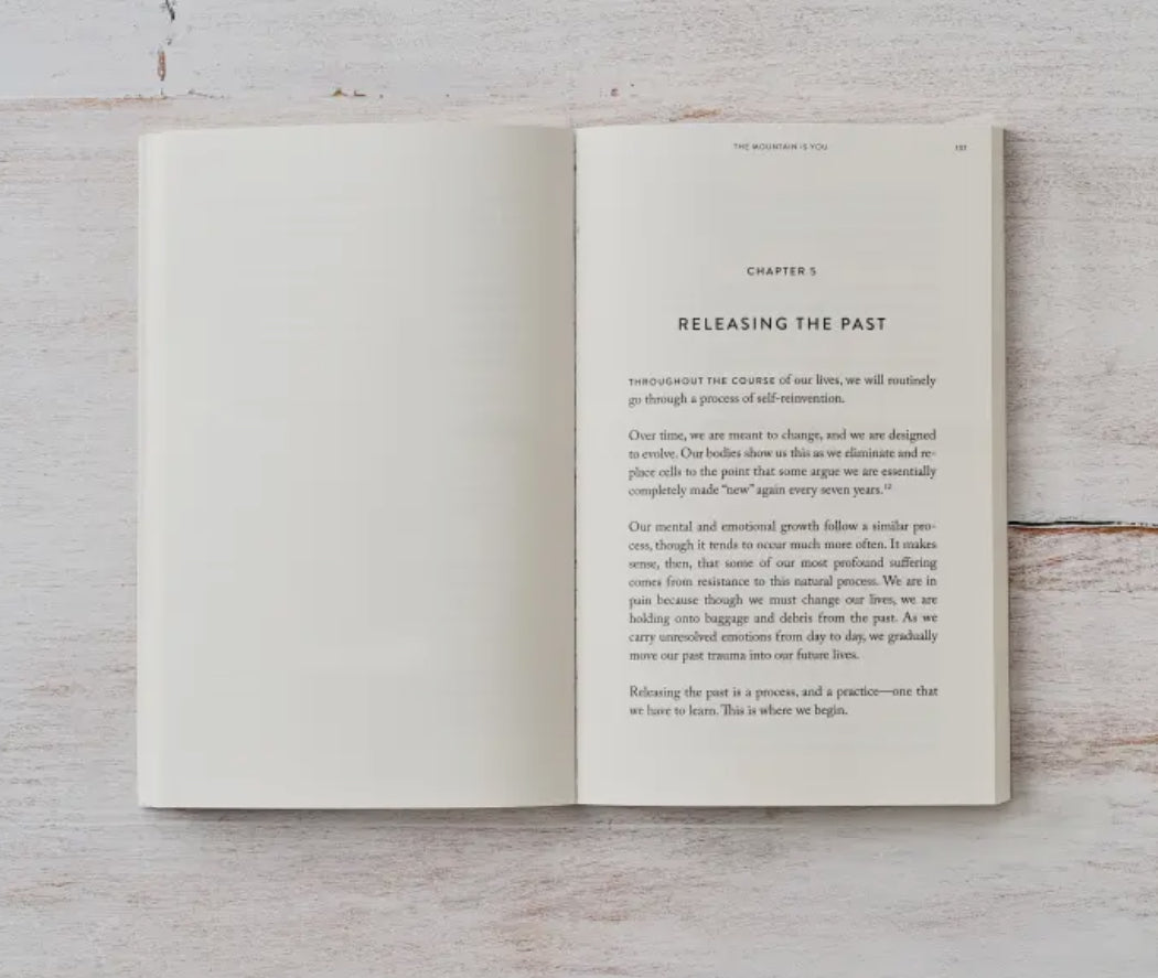 The Mountain Is You - Book