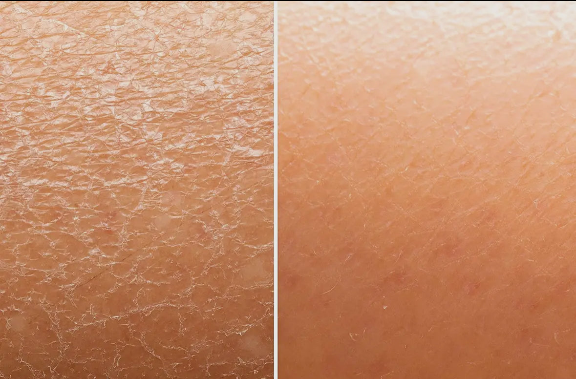 Skin and Senses Clarity Sugar Scrub