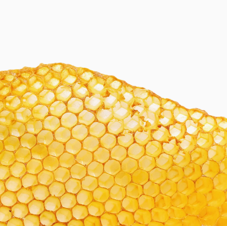 Lip Love: Clean Ingredient Lip Balm