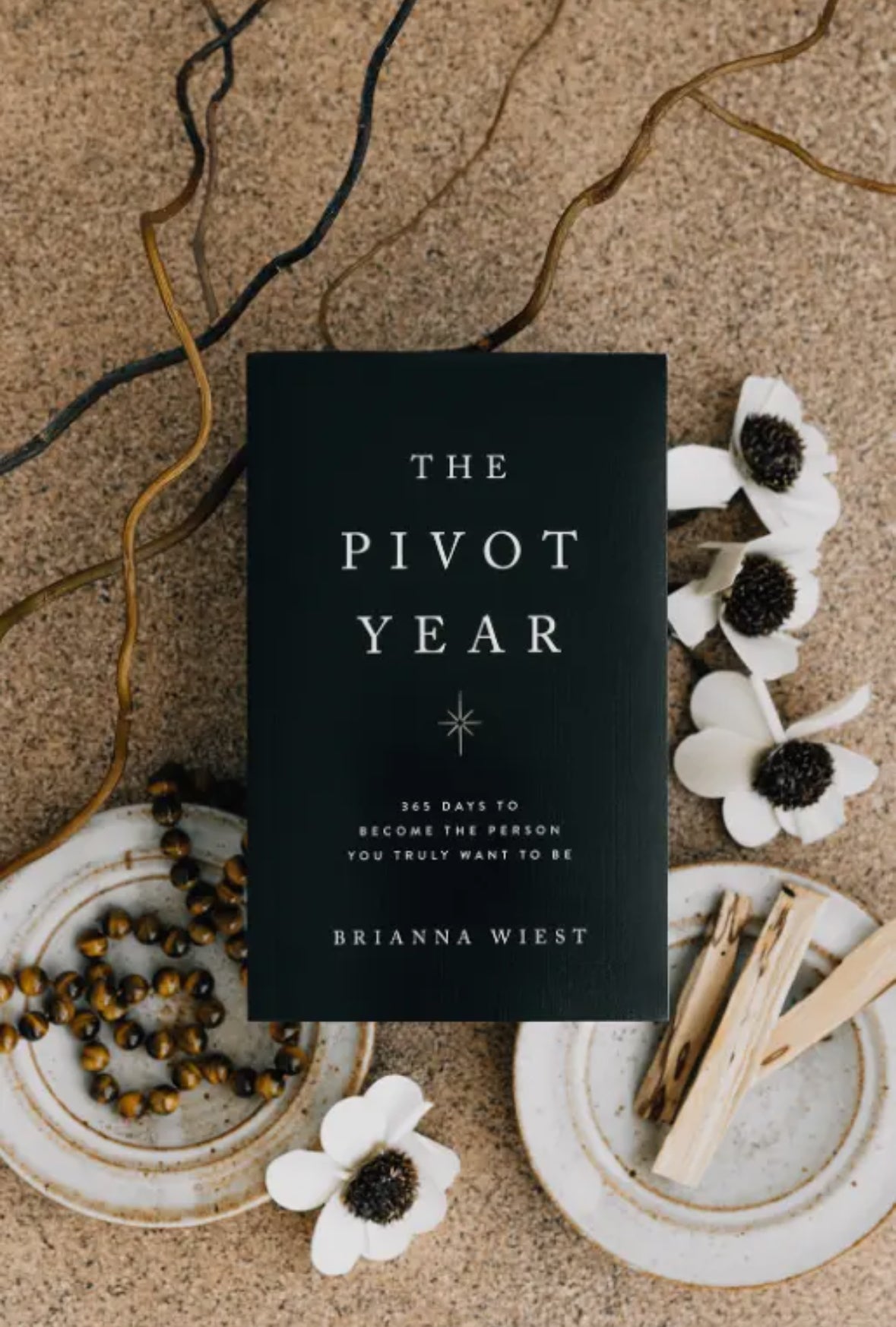 The Pivot Year - Daily Meditations